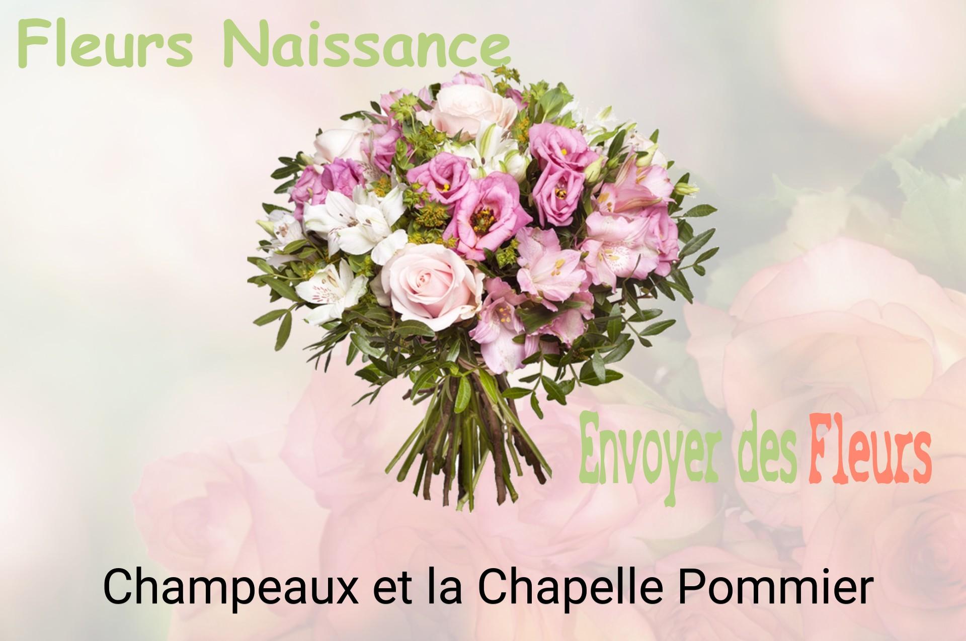 Bouquet de fleurs de naissance livré à Champeaux-et-la-Chapelle-Pommier